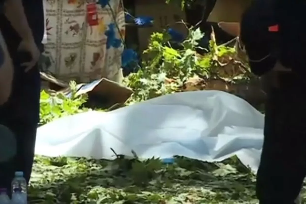 VIDEO: Dvostoljetni hrast pao i ubio 13 ljudi na proslavi Velike Gospe na Madeiri