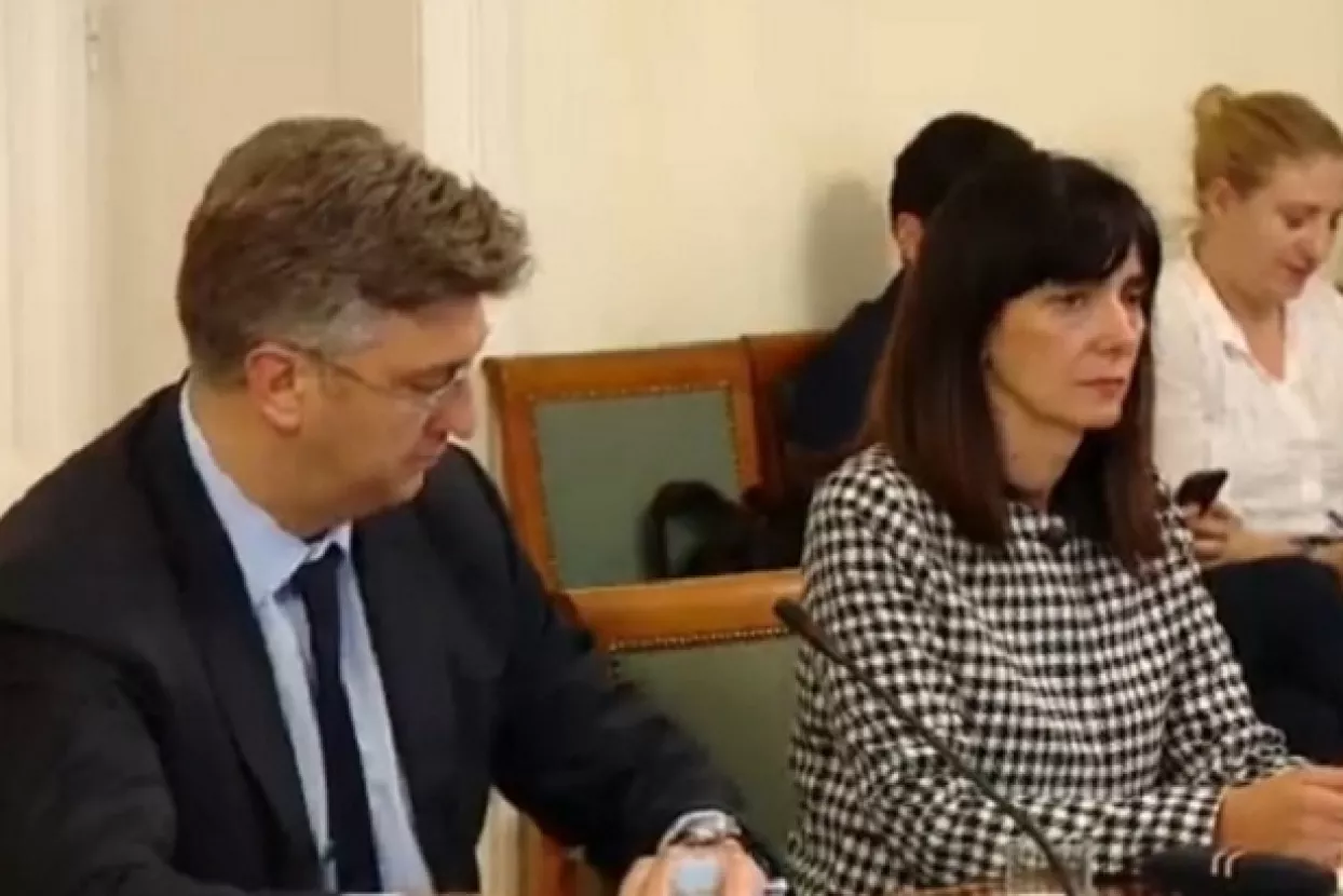 HNS: Ako padne Divjak pada i Vlada