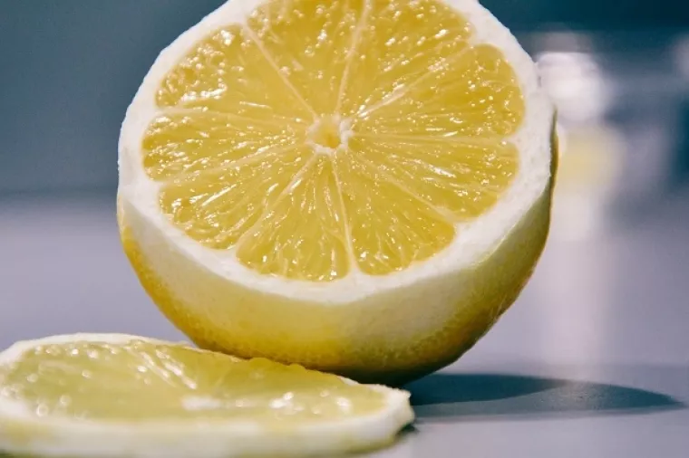 Slovenska tvrtka s međunarodnim partnerima razvija bioambalažu od kore agruma