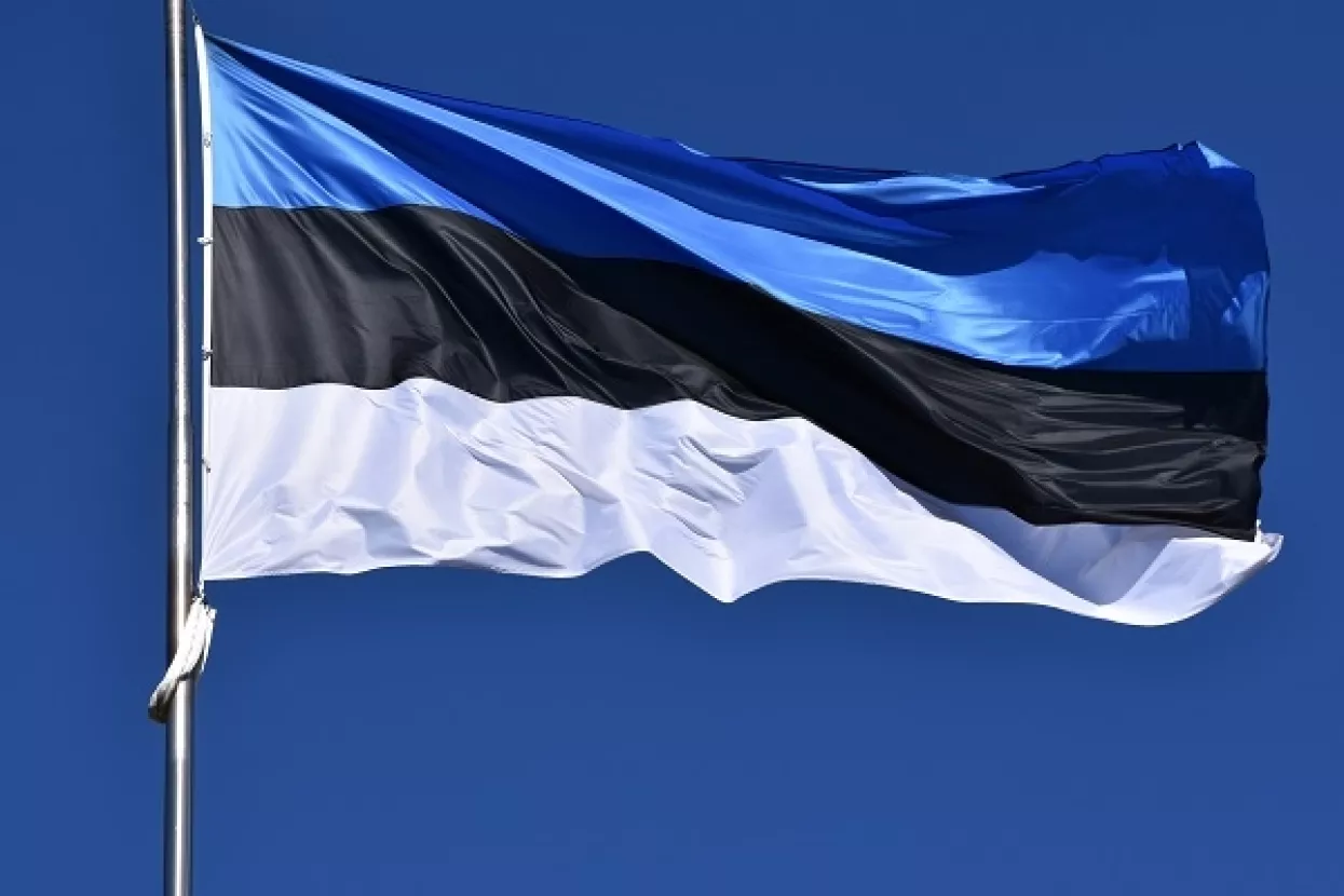 Inicijativom uvođenja digitalne valute Estonija žestoko zagrebla u virtualni svijet