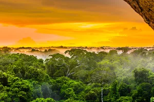 Predsjednik Brazila dozvolio rudarenje u srcu Amazone