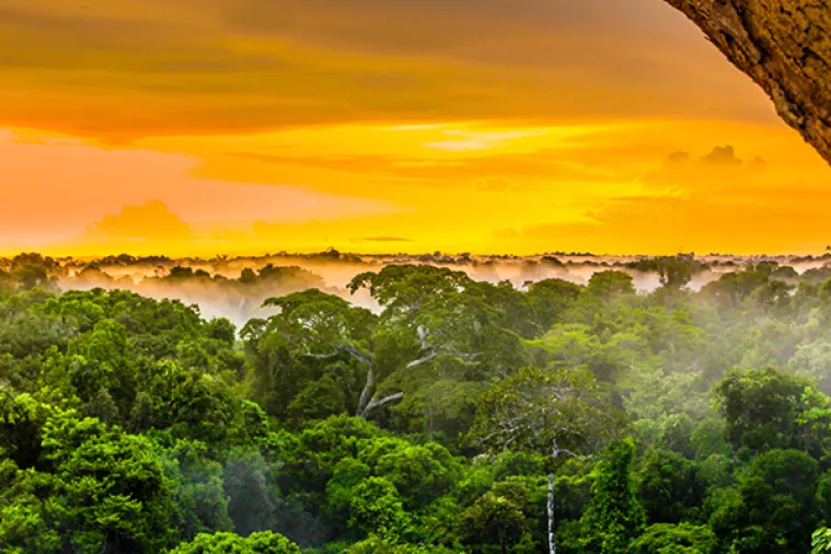 Predsjednik Brazila dozvolio rudarenje u srcu Amazone
