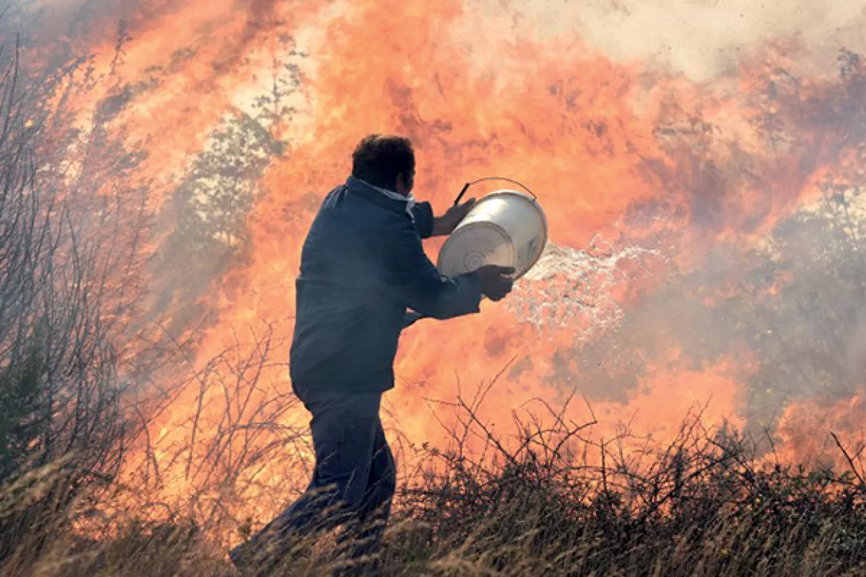 Investicijski požari: Šumska zgarišta na putu prema građevinskom zemljištu