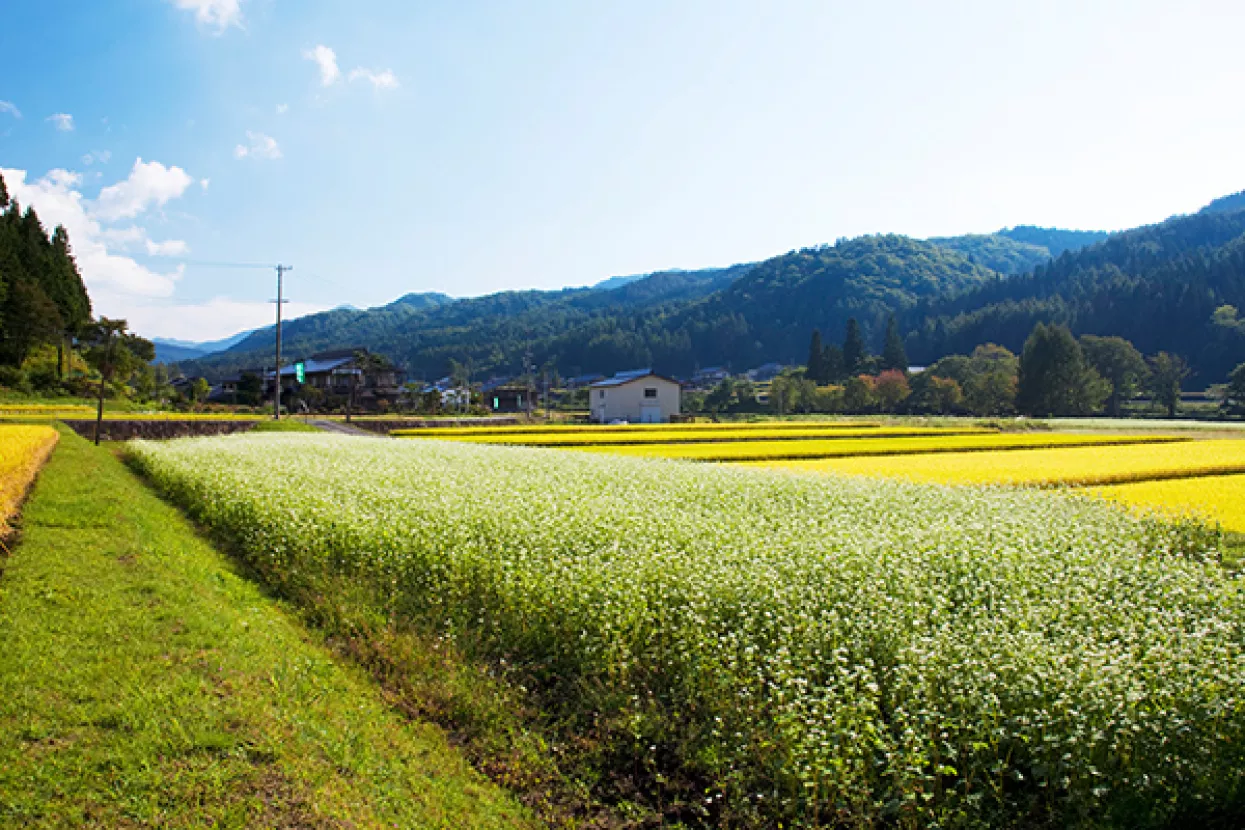 Pravda za sve: Rok za isplatu novca od zakupa poljoprivredne zemlje treba produljiti