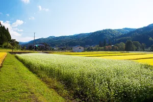 Pravda za sve: Rok za isplatu novca od zakupa poljoprivredne zemlje treba produljiti