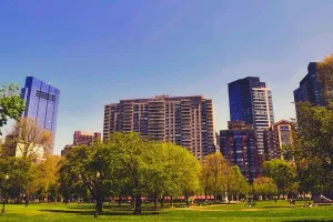 Stabla - milijunski štediše u megalopolisima