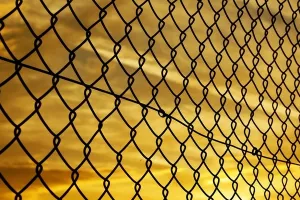 Budimpešta zatražila od Bruxellesa povrat 800 milijuna eura za podizanje ograde protiv imigranata