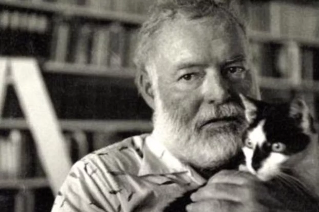 Hemingwayeva kuća i 54 polidaktilne mačke neokrznuti Irmom