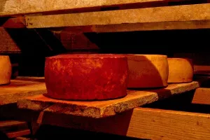 Paški sir i Agrolagunin 'Špin' osvojili medalje na Global Cheese Awardsu