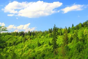 Za razvoj šumskih područja i modernizaciju opreme osigurano 58 milijuna kuna