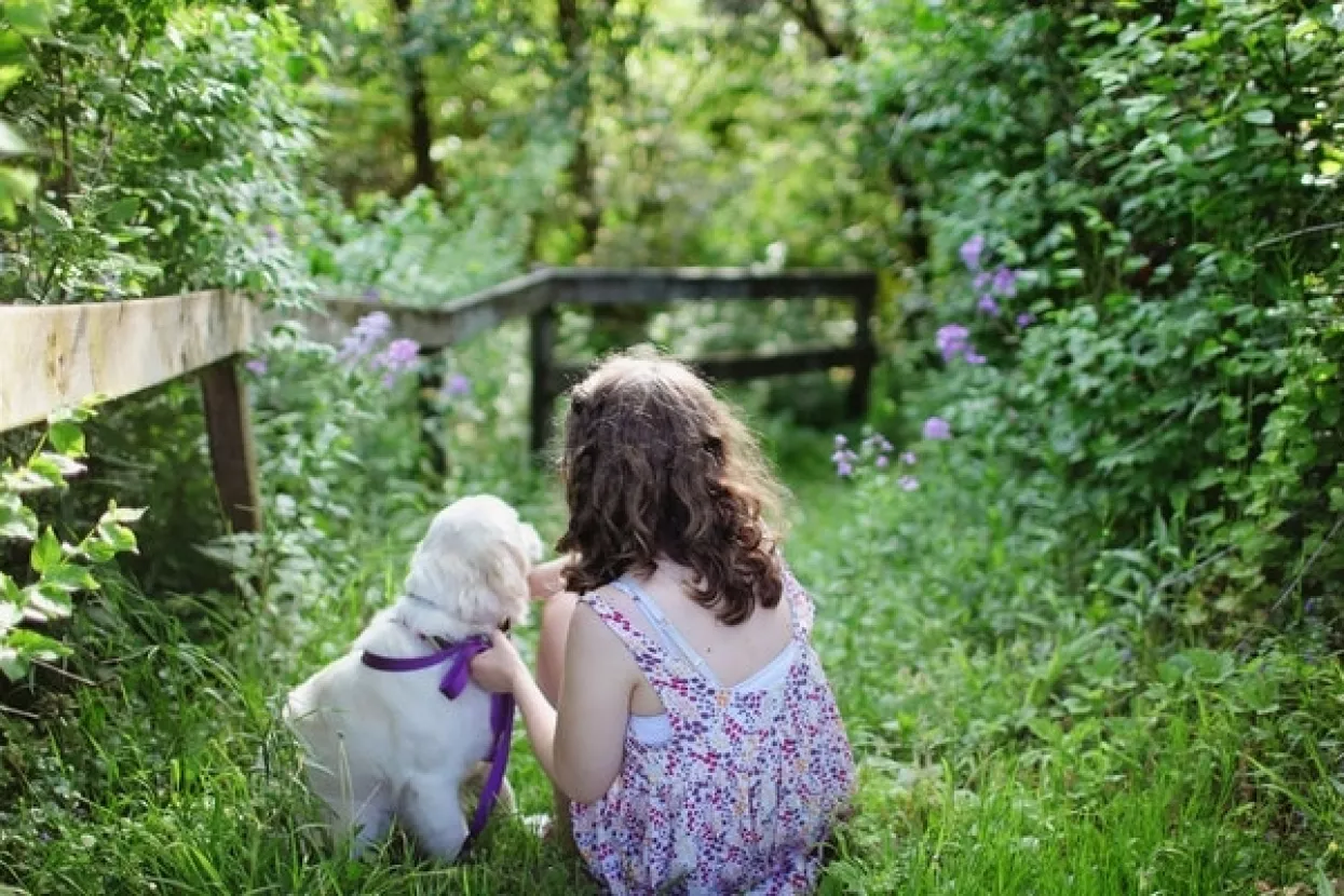 Masovno iseljavanje kućnih ljubimaca u Đakovu