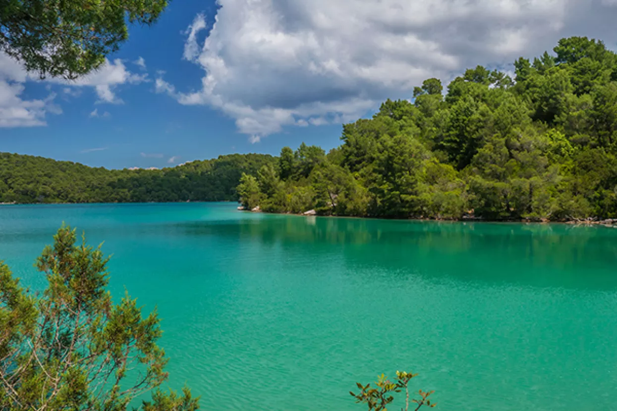 Greenpeace čišćenjem plaže na Mljetu upozorio na ugroženost Jadrana plastičnim otpadom