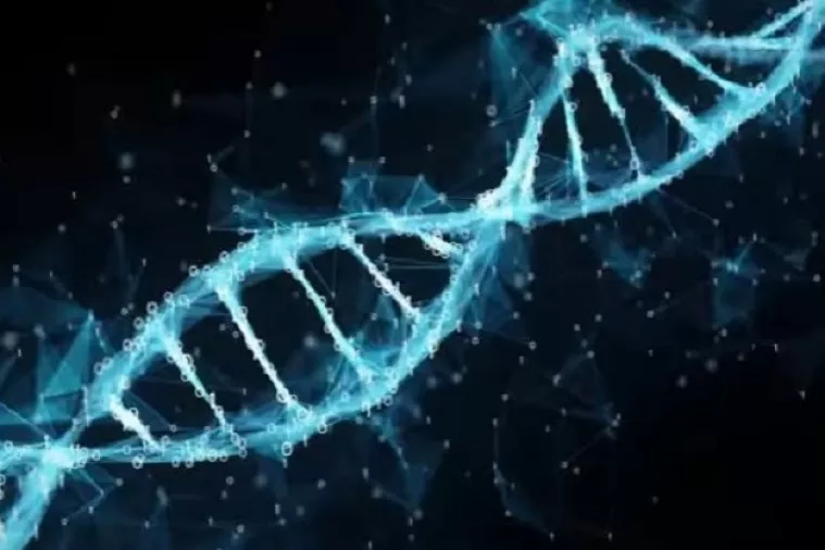 Anoniman investitor donirao 30 milijuna dolara za razvoj aplikacije koja dijagnosticira rak