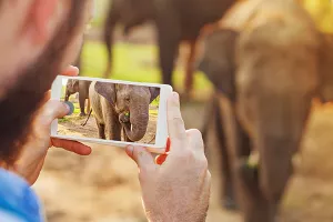 Pametni telefoni negativno utječu na okoliš