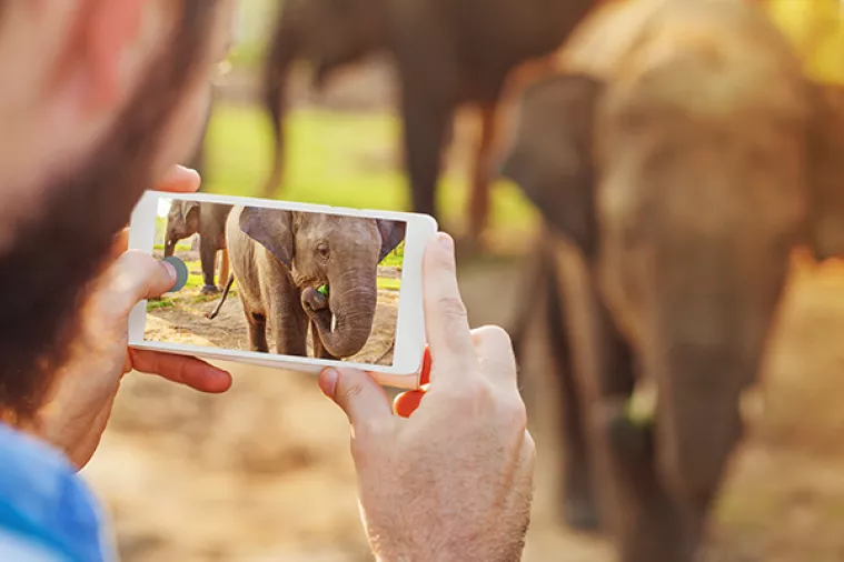 Pametni telefoni negativno utječu na okoli&scaron;