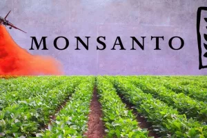 Odobravajući kemikaliju koja se smatra kancerogenom EFSA 'posudila' stavke iz Monsantova izvještaja