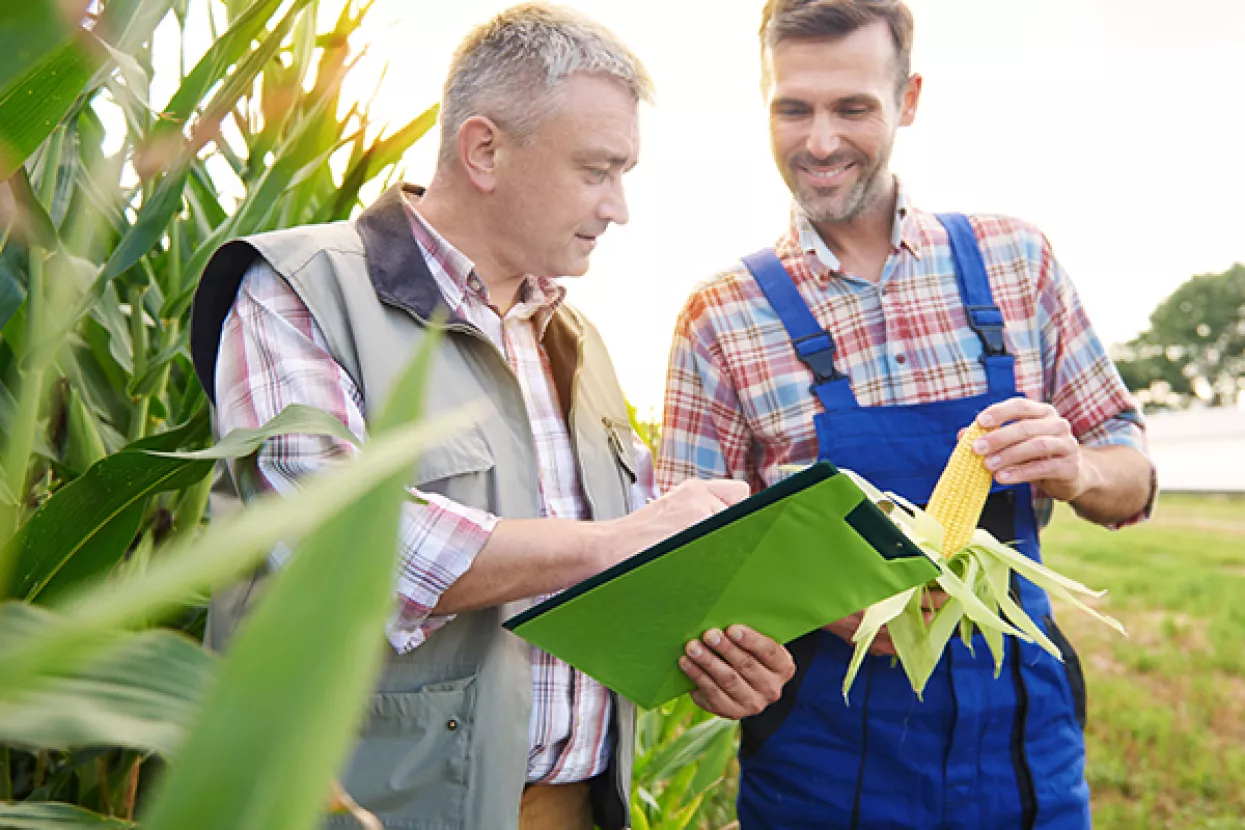Prepreka konkurentnosti: Manje od 5 posto OPG-ovaca ima poljoprivrednu naobrazbu