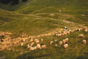 Indeks razvijenosti: U javnoj raspravi prijedlog izmjena Zakona o regionalnom razvoju