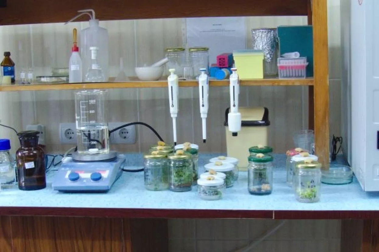 Stručnjaci s Ruđera razvili metodu za povećanje efikasnosti pohrane vodika