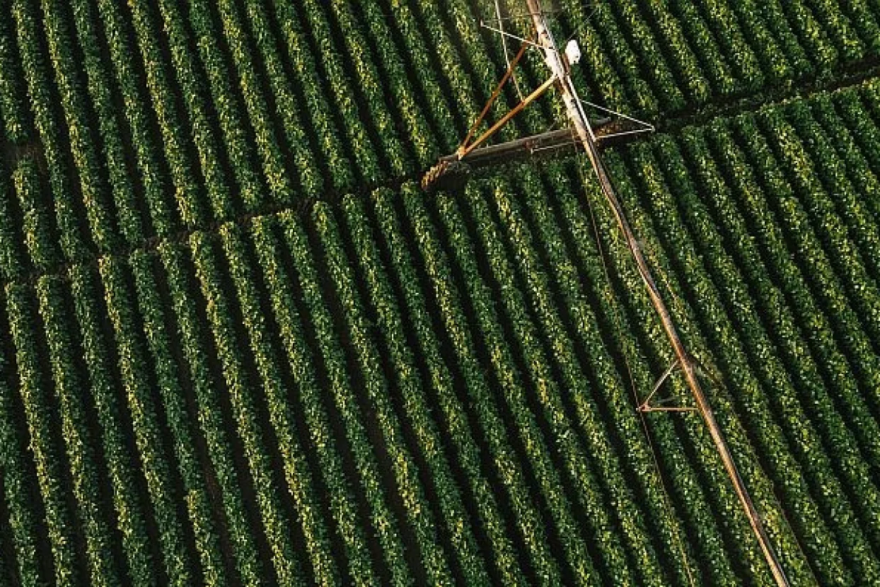 Katalonski referendum i izbori u Njemačkoj pritisnuli euro