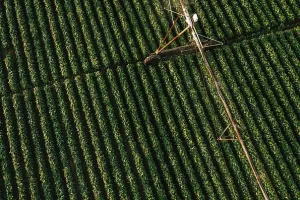 Katalonski referendum i izbori u Njemačkoj pritisnuli euro