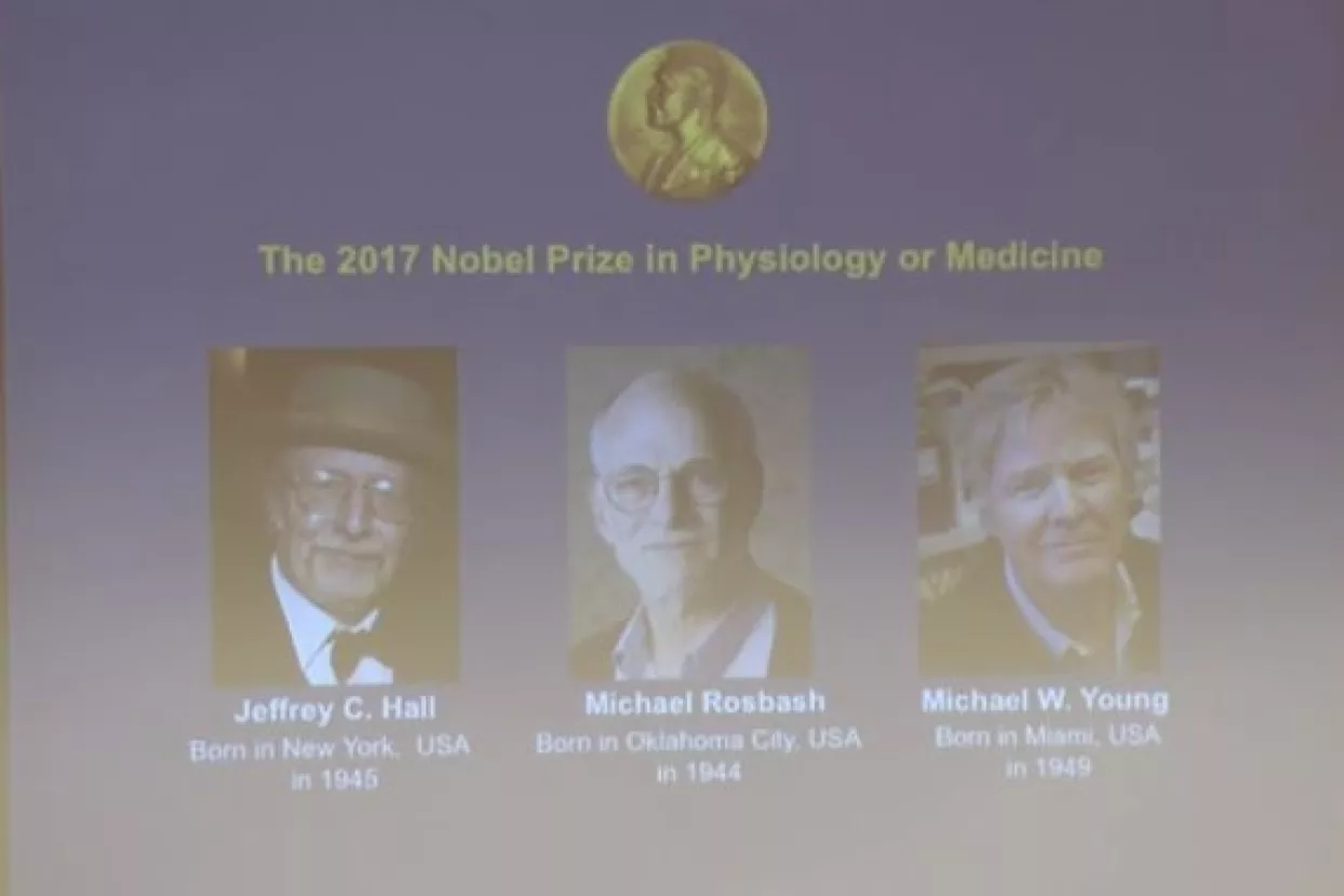 'Biološki sat' američkim znanstvenicima osigurao Nobela