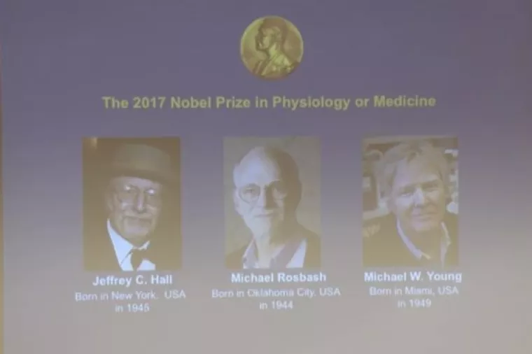 'Biološki sat' američkim znanstvenicima osigurao Nobela