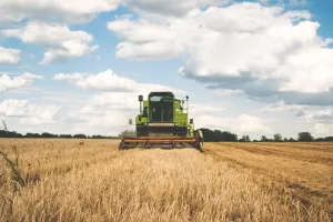 Revizija Agrokora: Pik Vinkovci s konsolidiranim gubitkom od 233 milijuna kuna