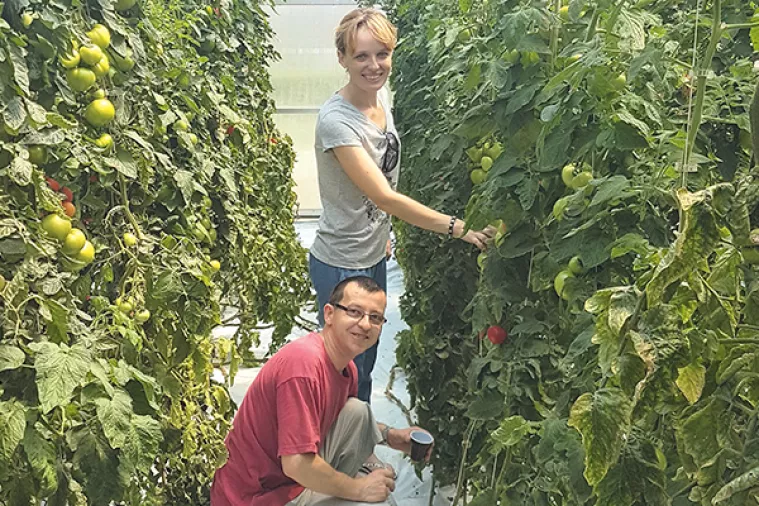 Agronomski fakultet: Pametna kapsula uskoro bi mogla zamijeniti gnojivo