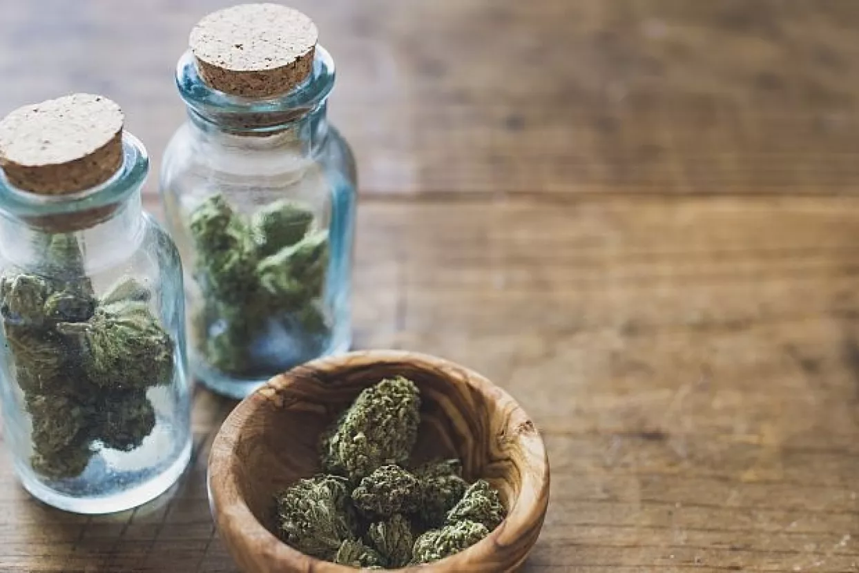 Živi zid: Legalizirati do šest stabljika konoplje za rekreaciju