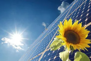 Irena: Cijena solarne energije mogla bi pasti za 60 i više posto u jednom desetljeću