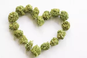 'Gdje ima dima ima i vatre': Uživatelji marihuane češće uživaju u seksu