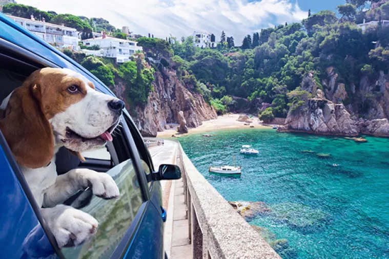 Hrvati lani 'keširali' 6,45 milijardi kuna za privatna putovanja