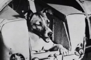 Prije 60 godina Lajka poletjela u svemir