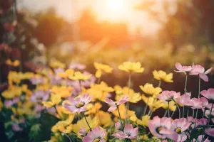 Nakon 70 zajedničkih godina preminuli istoga dana u vrtu