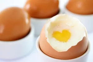 Genetskom modifikacijom kokoši Japanci stvorili ljekovita jaja