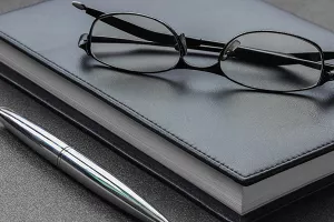 Višnja Starešina: Todorić bi svojom crnom bilježnicom mogao demontirati cijelu tranziciju