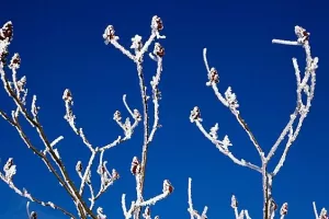 Iznad 800 metara moguća susnježica