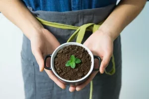 Četvrto izdanje najutjecajnije regionalne konferencije o eko tržištu