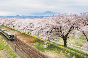 Japanska željeznica ispričava se putnicima zbog 'velike neugodnosti' - vlak uranio 20 sekundi