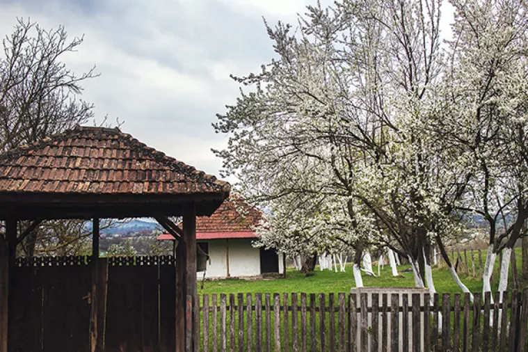 Potpuna propast sudbina je koju dijeli oko 1.200 srpskih sela - stručnjaci