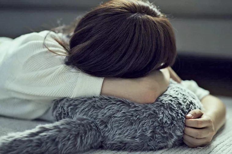 Novo doba: Repati jastuk s terapeutskim djelovanjem surogat kućnom ljubimcu