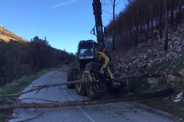 Izgorjelu šumu kod Splita krče Slovenci