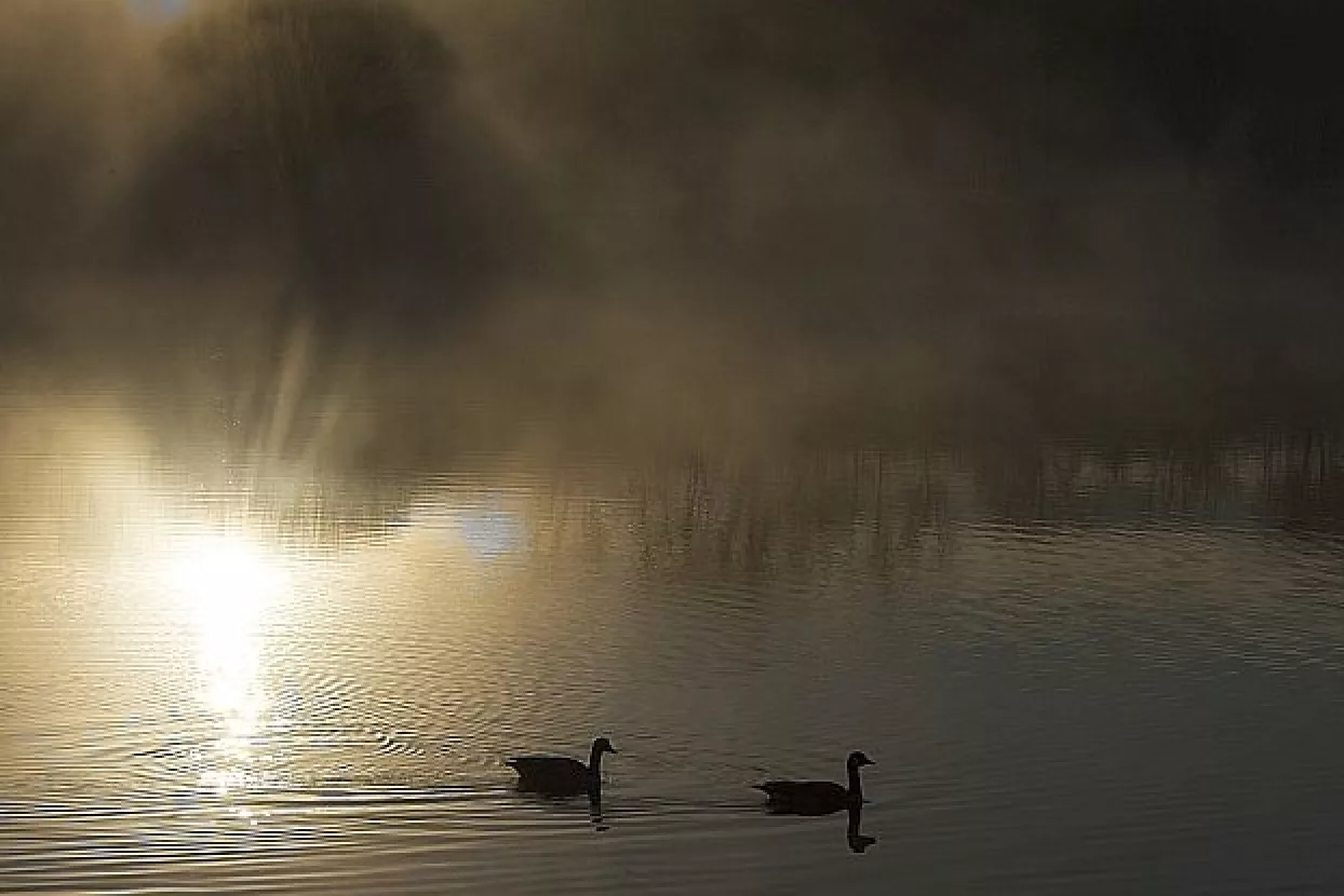 Macan o hibridnom ratu: U eteru oko Agrokora je puno više 'magle' nego činjenica