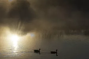 Macan o hibridnom ratu: U eteru oko Agrokora je puno više 'magle' nego činjenica