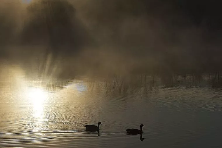 Macan o hibridnom ratu: U eteru oko Agrokora je puno više 'magle' nego činjenica
