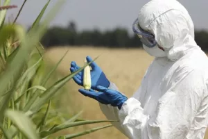 EU produljila dozvolu za uporabu glifosata na pet godina