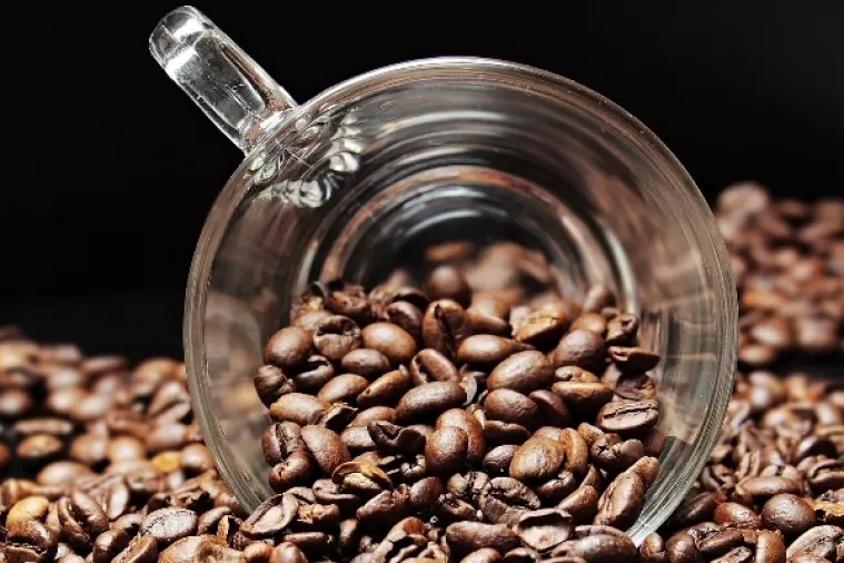 Nestle gradi tvornicu kave i keksa na Kubi