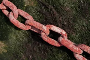 Bivši pripadnik nigerijske vlade: Moje zemljake 'porobljavaju, sakate i peku poput ražnjića'