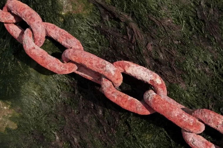 Bivši pripadnik nigerijske vlade: Moje zemljake 'porobljavaju, sakate i peku poput ražnjića'